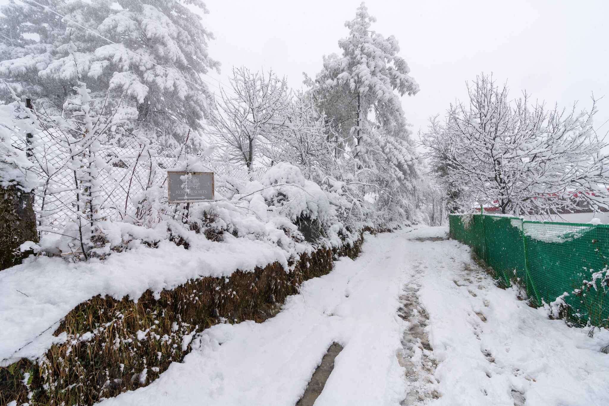 Himalayan Nature Park Kufri: Complete Guide